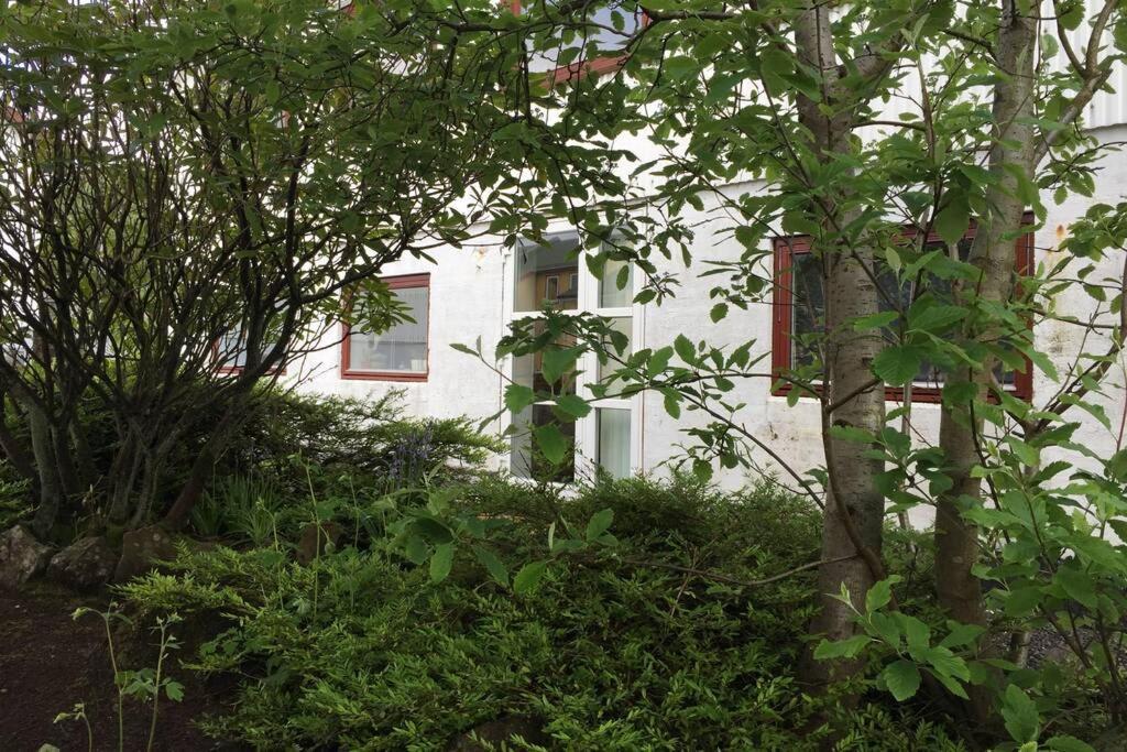 The Perfect Base In Torshavn Apartment Exterior photo
